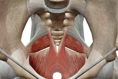suelo-pelvico-